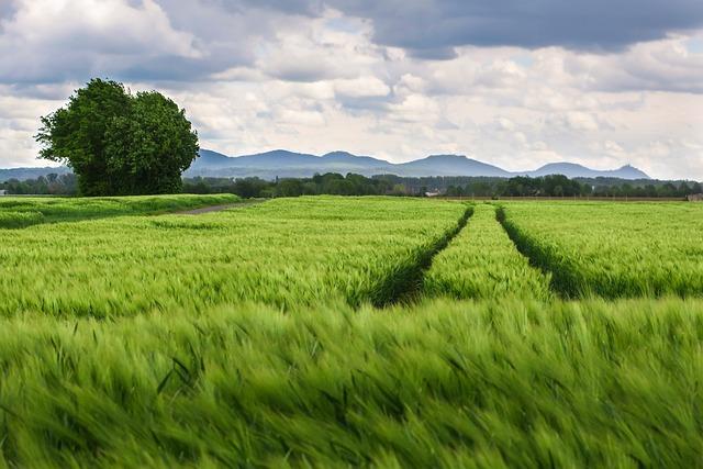 Pneumatika má prasklinu - jak zastavit a vyřešit situaci